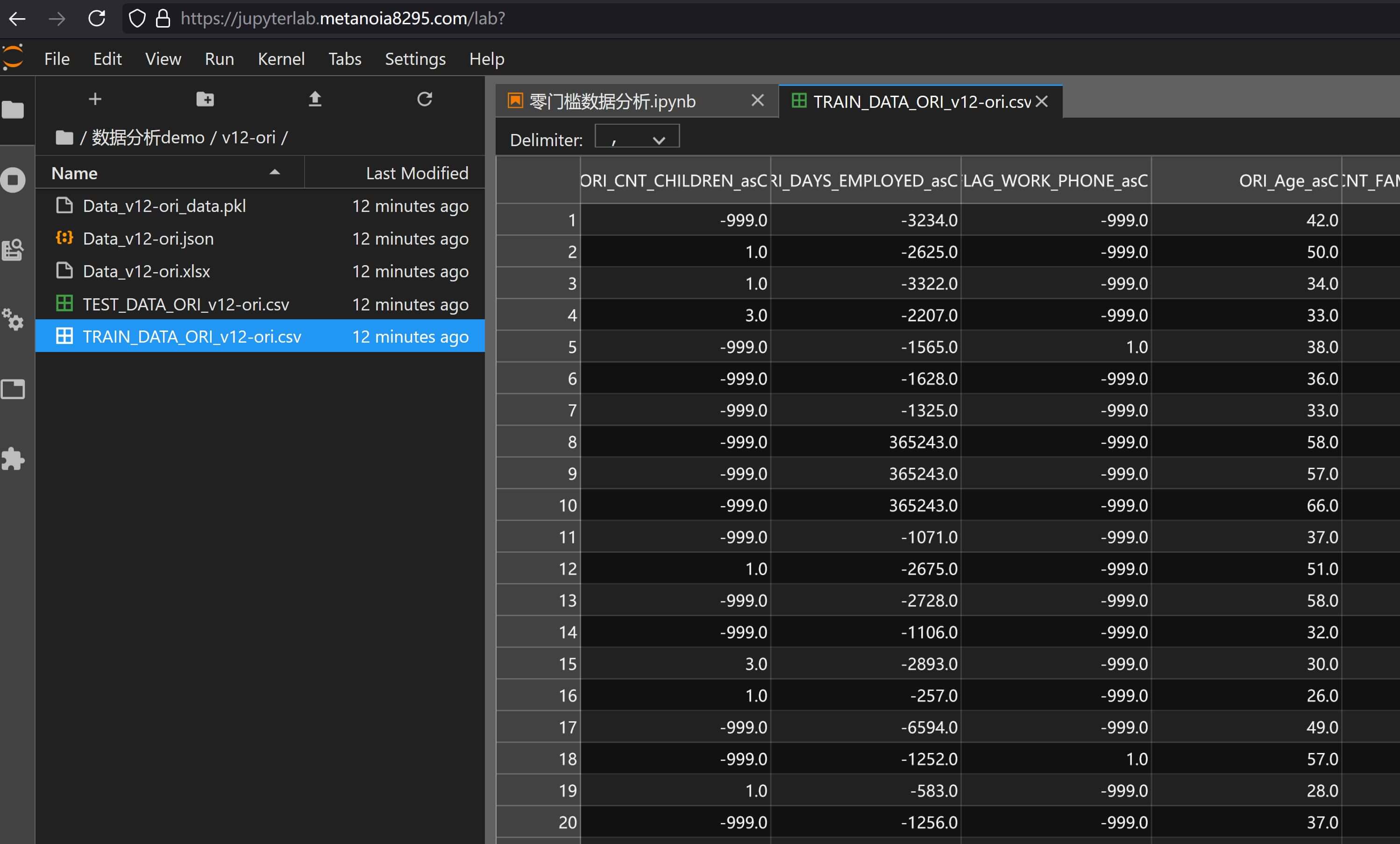 数据输出（预处理输出）