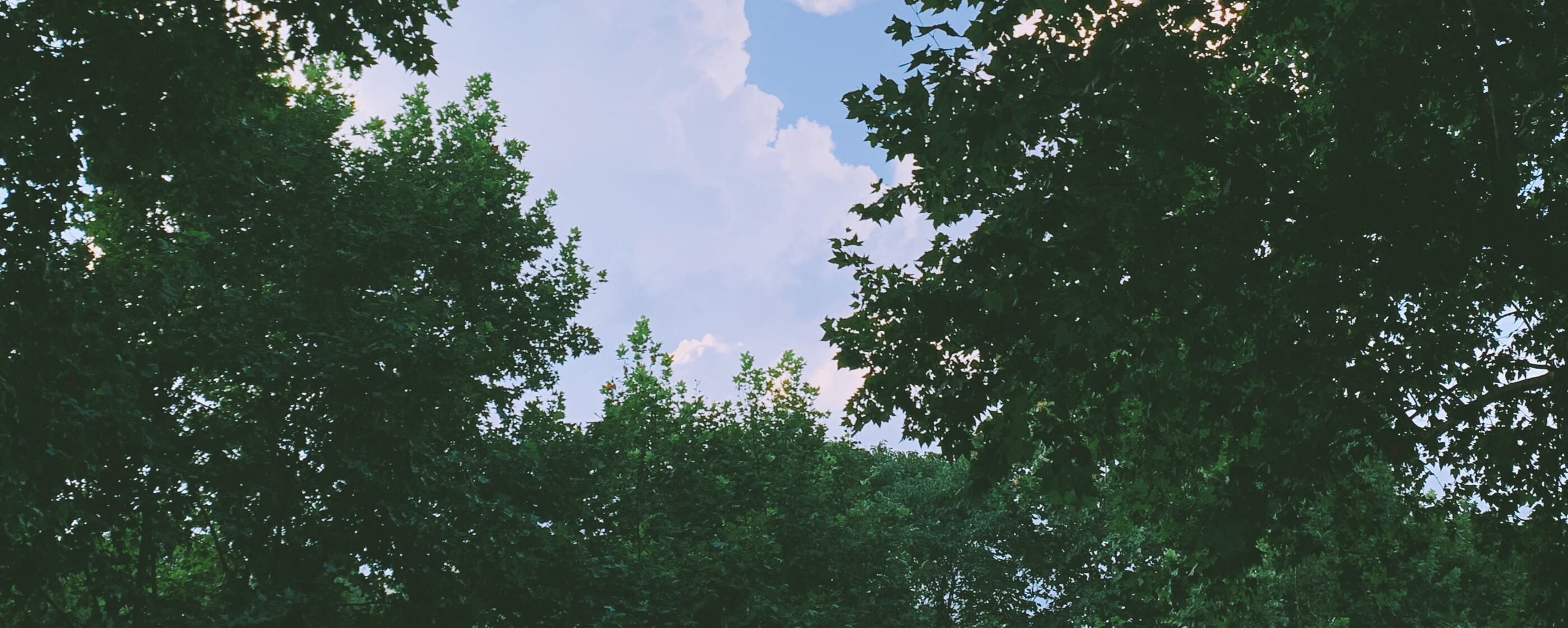 Featured image for 零基础实现高质量数据挖掘（策略分析篇）