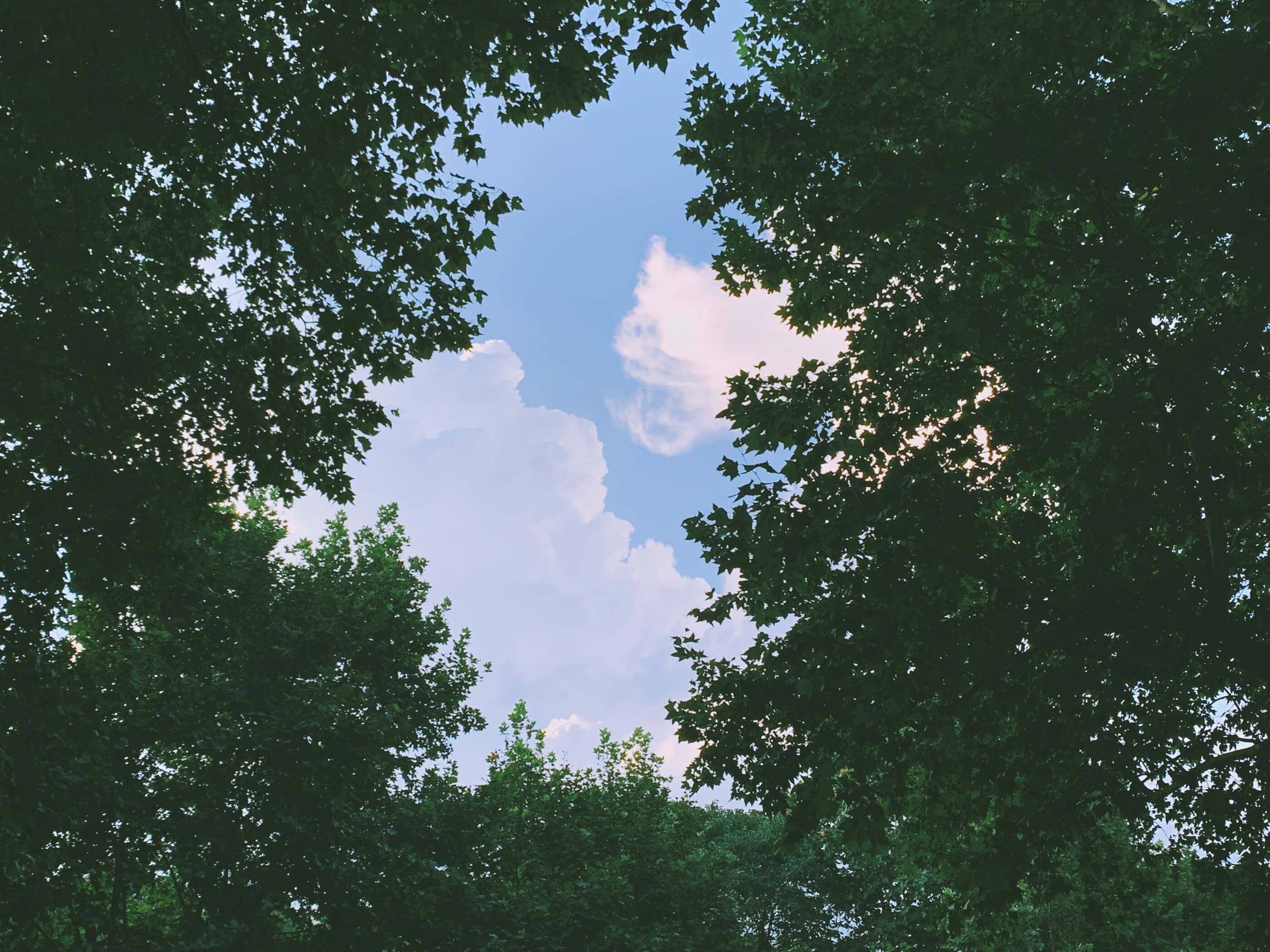 基于树模型化繁为简，汲取算法精华而不失专家经验，多维度全方位实现策略探索与分析